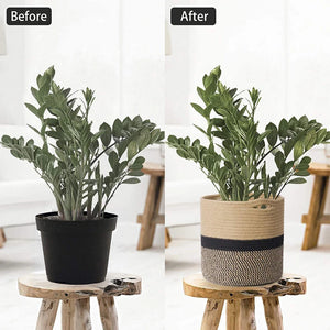 Woven Cotton Rope Storage Basket for Home & Nursery